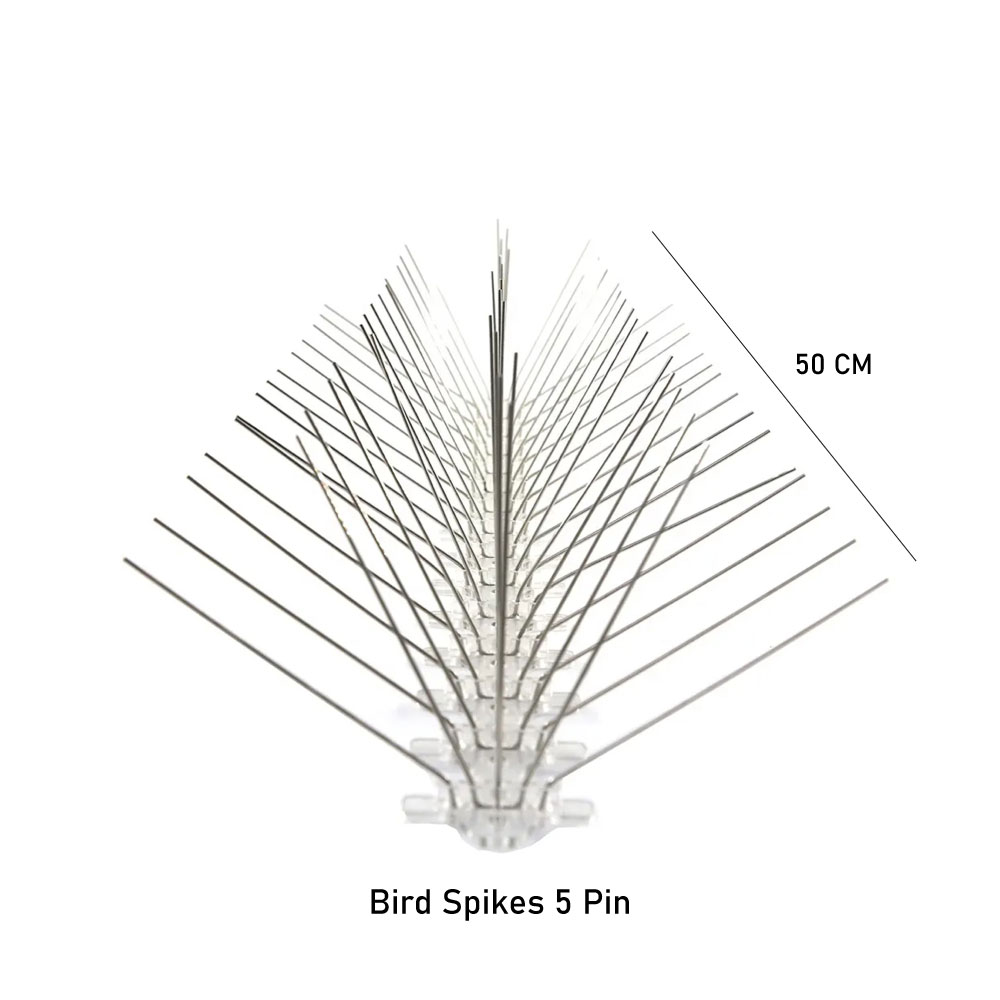 bird spikes; bird spikes 5 pin; stainless steel bird spikes; pigeon control spikes; bird control spikes dubai; anti bird spikes; 5 pin bird deterrent spikes; bird spikes uae; bird spikes for rooftops; bird spikes for ledges; humane bird control; pigeon spikes dubai;